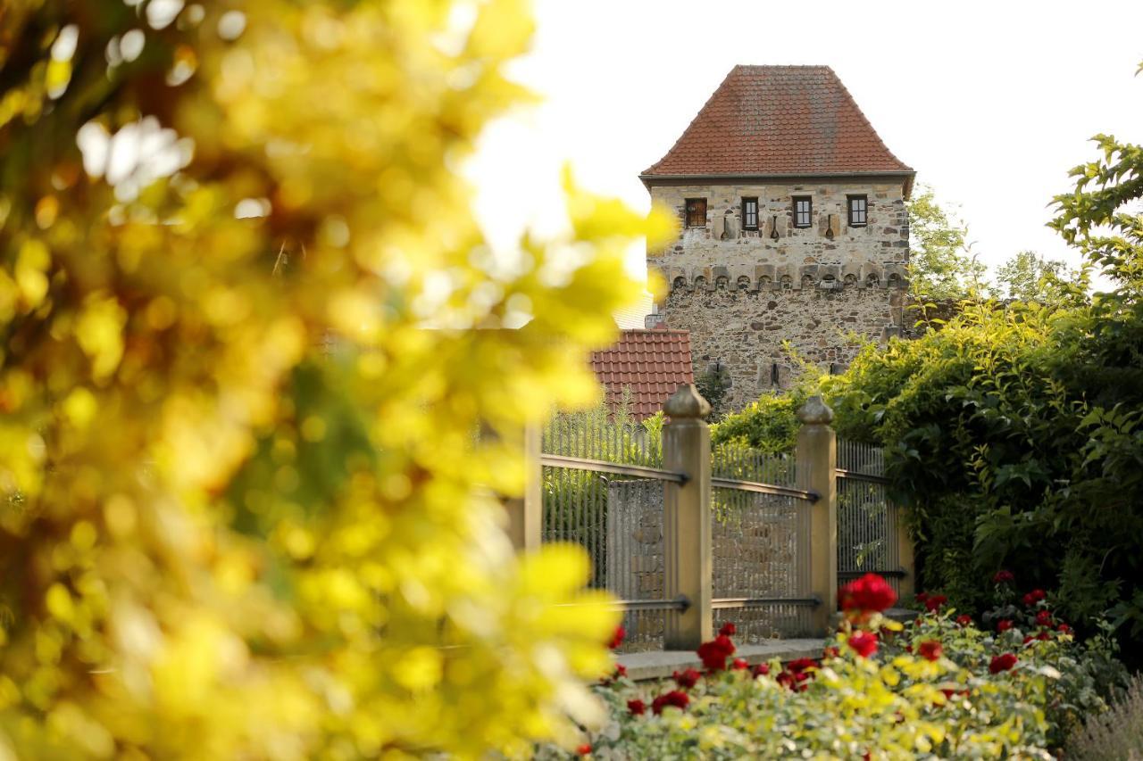 Altstadthof Freinsheim Buitenkant foto